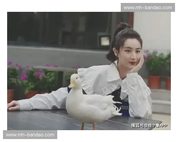 红毯梦幻VS法式浪漫：谁才是你贴身衣物的“本命”之选？